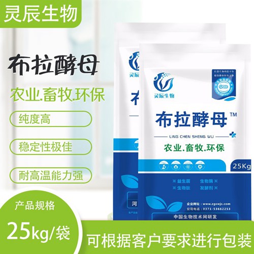 布拉酵母菌