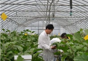 國務院取消第三類技術準入審批，細胞治療、基因診斷或將迎來利好