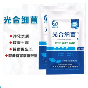 光合細菌