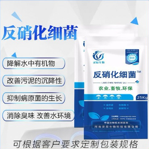 反硝化細菌