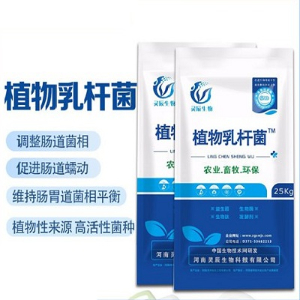 植物乳桿菌